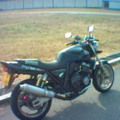chase