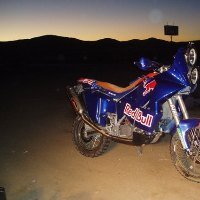 adv_rally