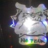 Nelson2003