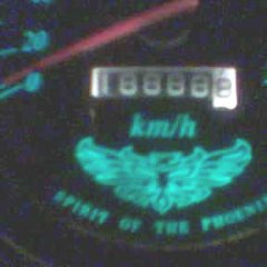 cooltoy99