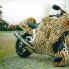 Low_Rider