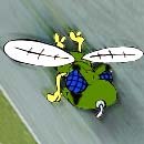 Camo_Fly