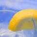 lemon81
