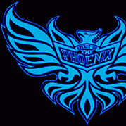 SpiritOPhoenix