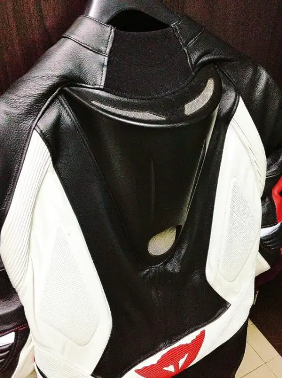 back.jpg