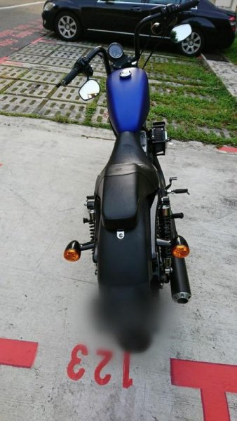 back.jpg