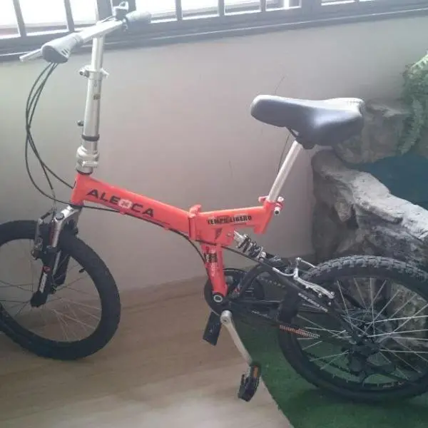 carousell_1416059771233_1.jpg