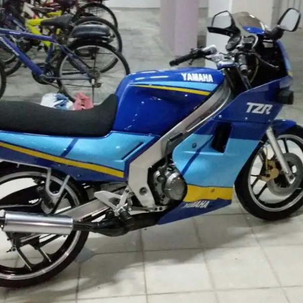 carousell_1456167363399_3.jpg