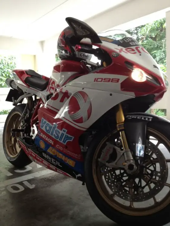 duc1.jpg