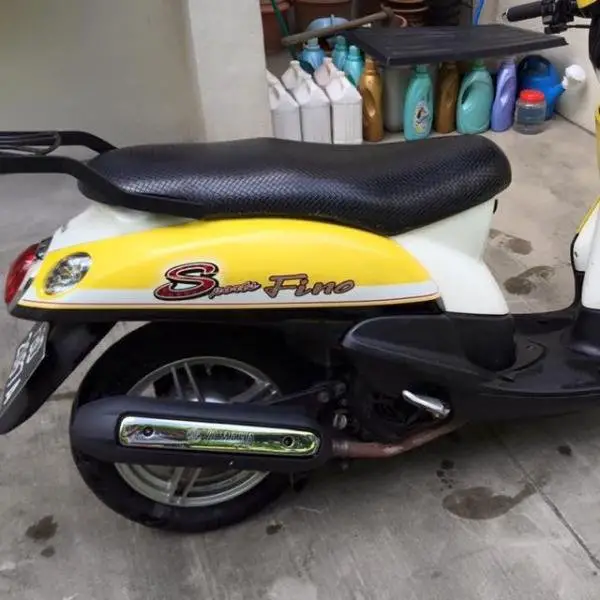 fino3.jpg