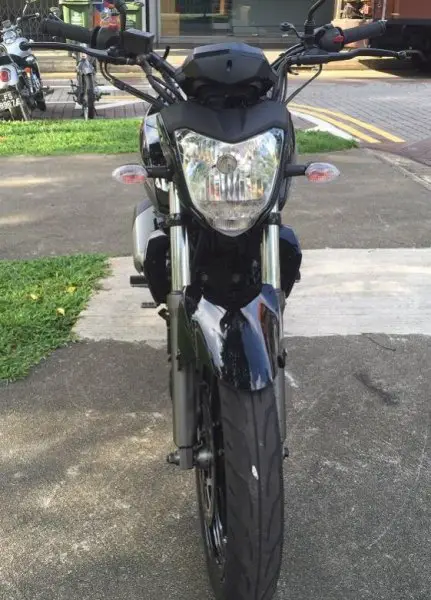 fz16_04.jpg
