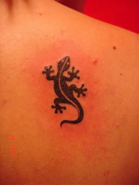 gecko01.jpg