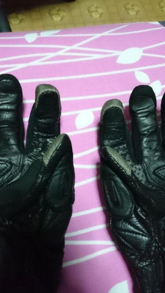 glove3.jpg