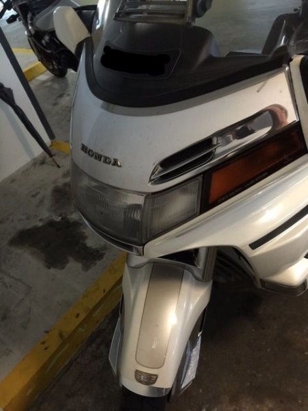 goldwing2.jpeg