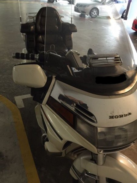 goldwing4.jpeg