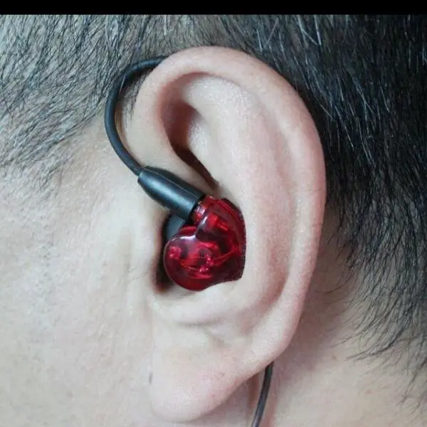 hybrid_iem_1_dynamic__1_armature_driver_1466960592_f989e8c5.jpg