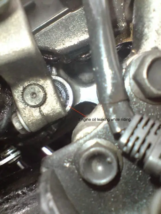 oil-seal.jpg