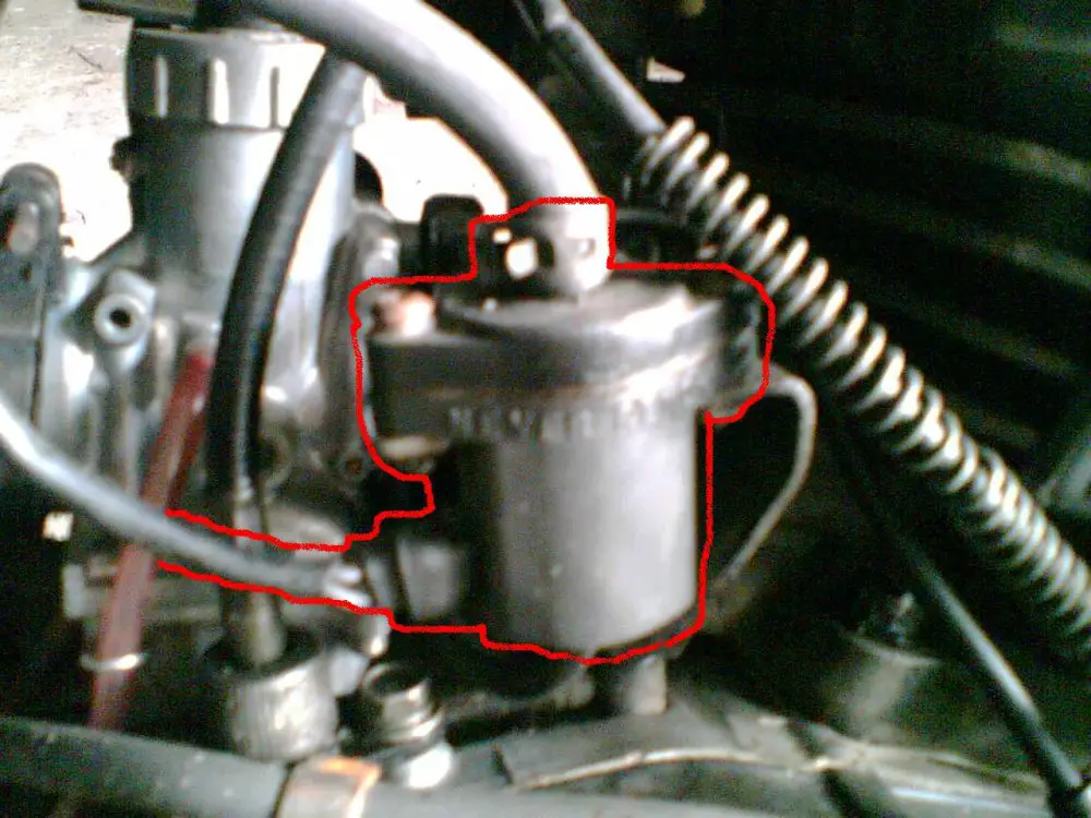 post-76-1179384205.jpg
