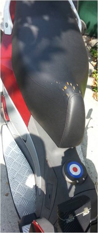 seat.jpg