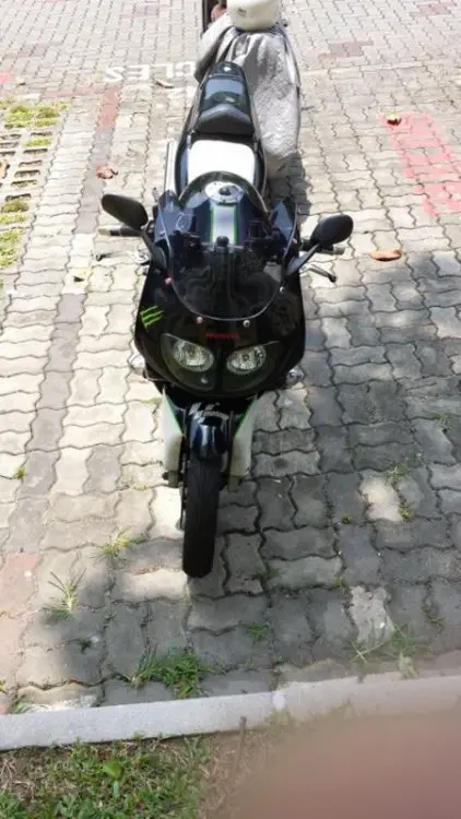 sp3.jpg
