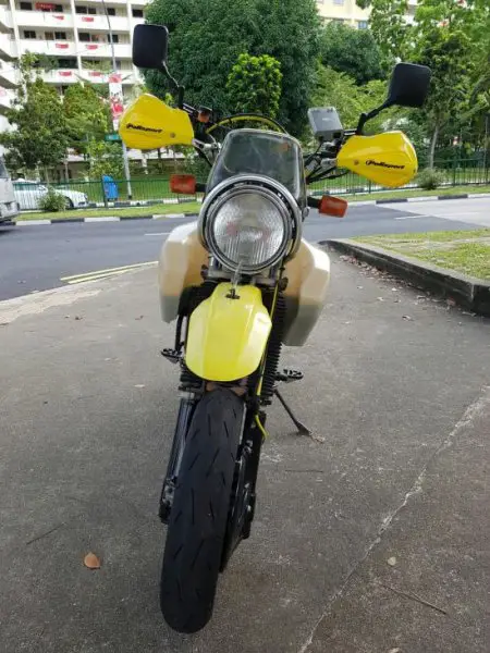 suzuki_01.jpg
