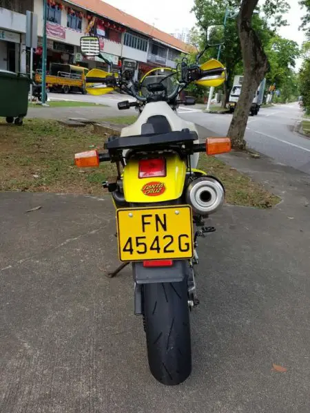 suzuki_02.jpg