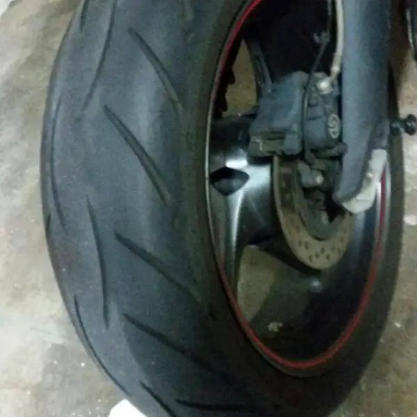 t1.jpg