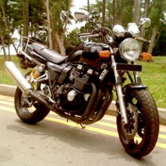 templ16
