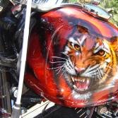 imtiger