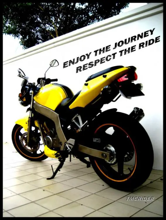tmcrider-04.jpg