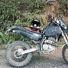 Djebel_95
