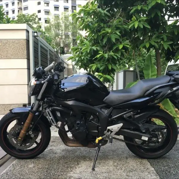 yamaha_fz6_naked_2009_1468075886_97122d1a.jpg