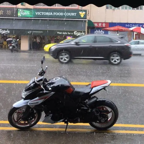 z1000.jpg