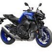 Skunk Elmotorista