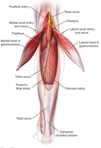 image.thumb.png.a0d95279f76a89e3b048d2c28db9f941.png